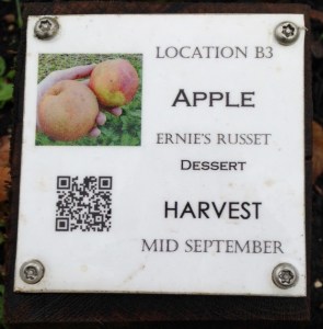 Identification plaque for Ernie's Russet