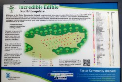 Map of orchard layout