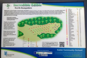 Map of orchard layout